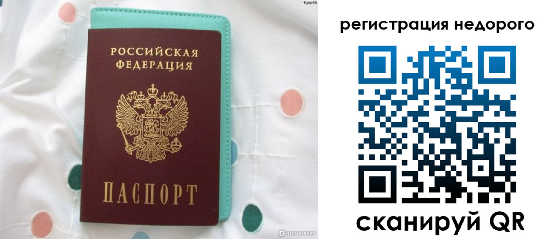 прописка для школы в Мурманской области